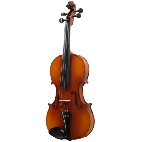 Đàn Violin Carlo Giordan Vân Vẽ Size 4/4